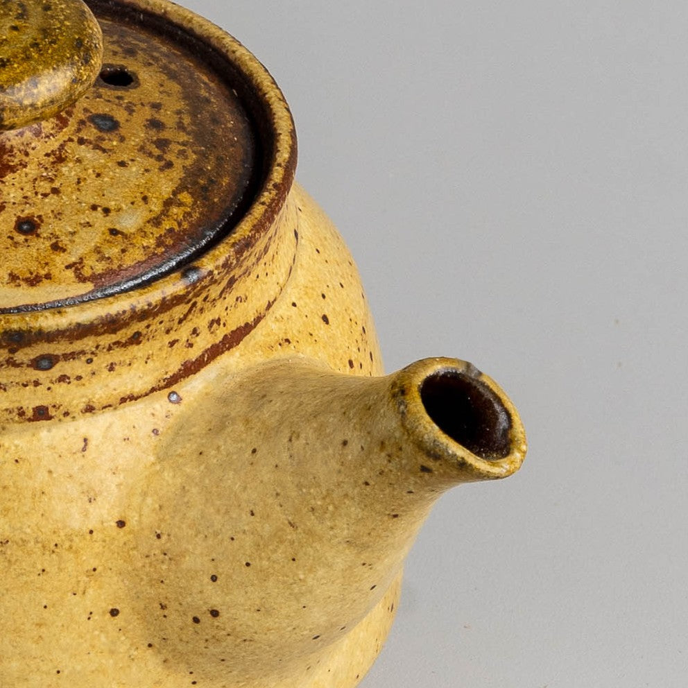 Sunlight Clay Teapot