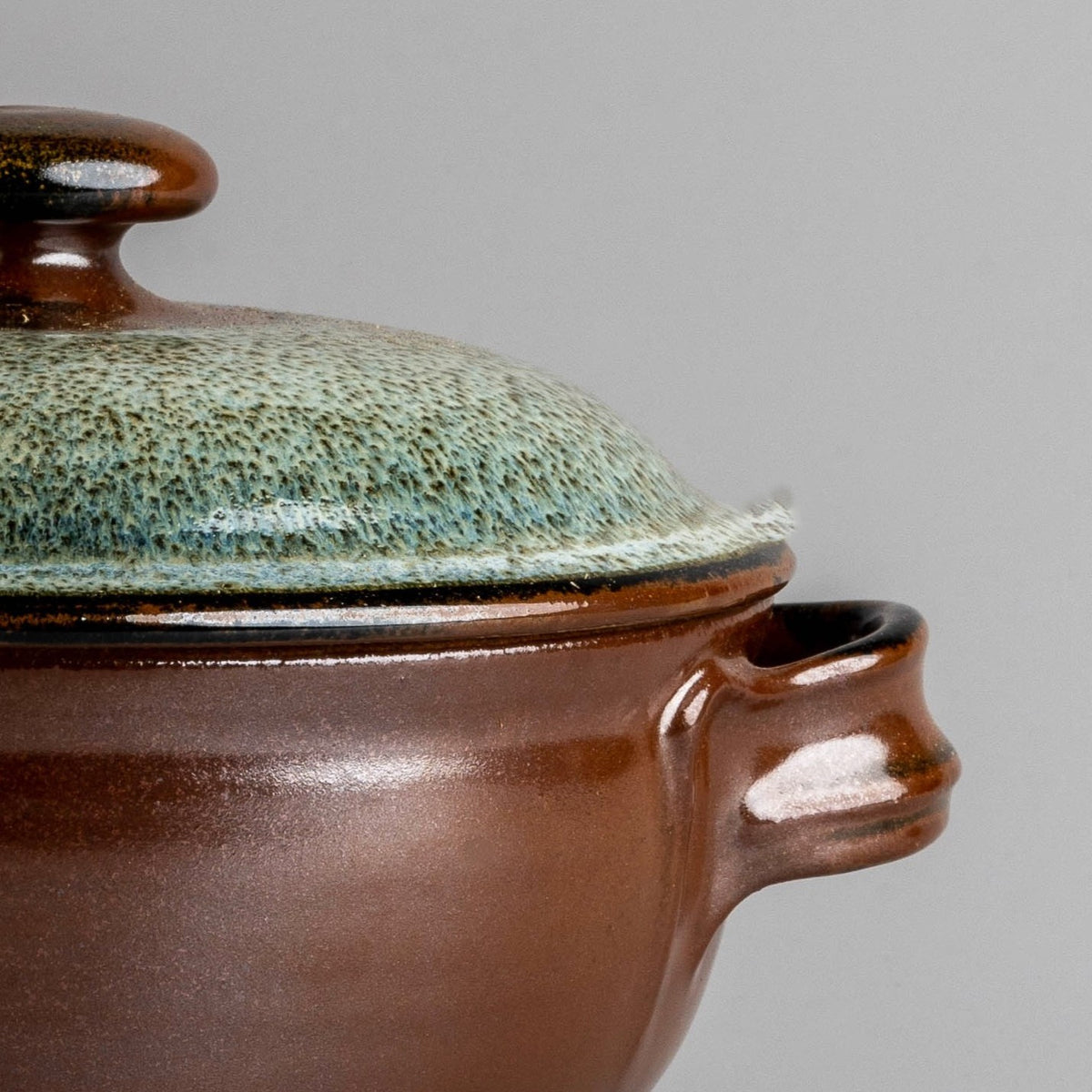 Earthen Horizon Casserole